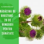 20 motive să consumi rădăcina de brusture 28 Brusture beneficii