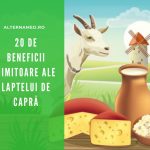 Laptele de capră Laptele de capră beneficii