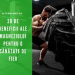 beneficiile magneziului