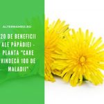 papadia beneficii