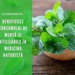 Beneficiile consumului de mentă și utilizările în medicina naturistă