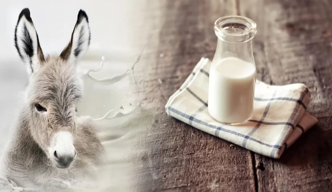 Laptele de măgăriță și diabetul: Ce trebuie să știți?